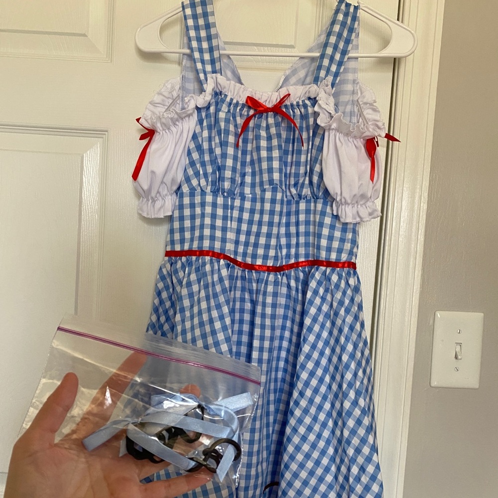Dorothy Wizard of Oz Costume